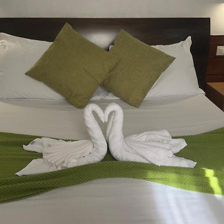 Romalive Hotel エクステリア 写真